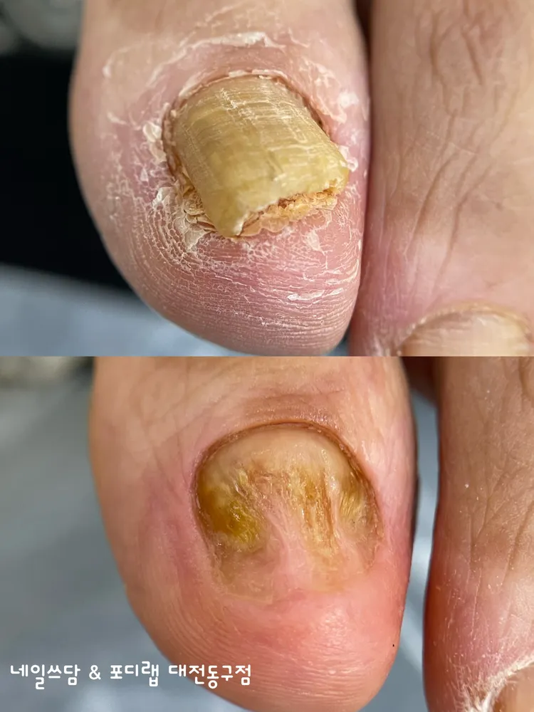 네일쓰담 & 포디랩 대전동구점 대표 이미지