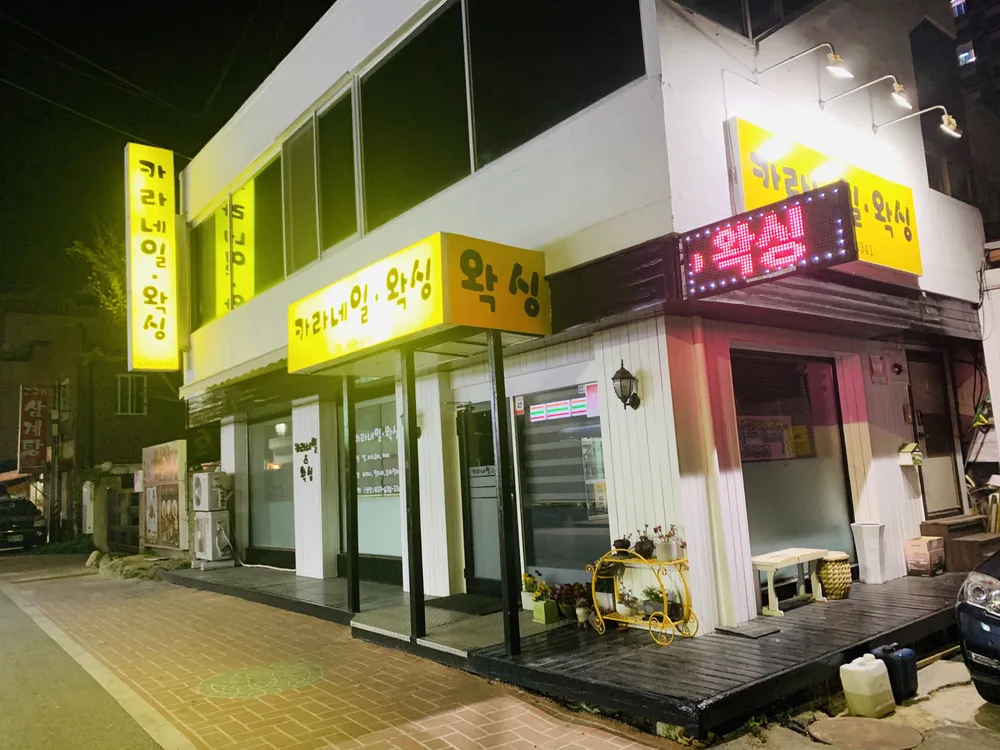 카라네일아트 대표 이미지