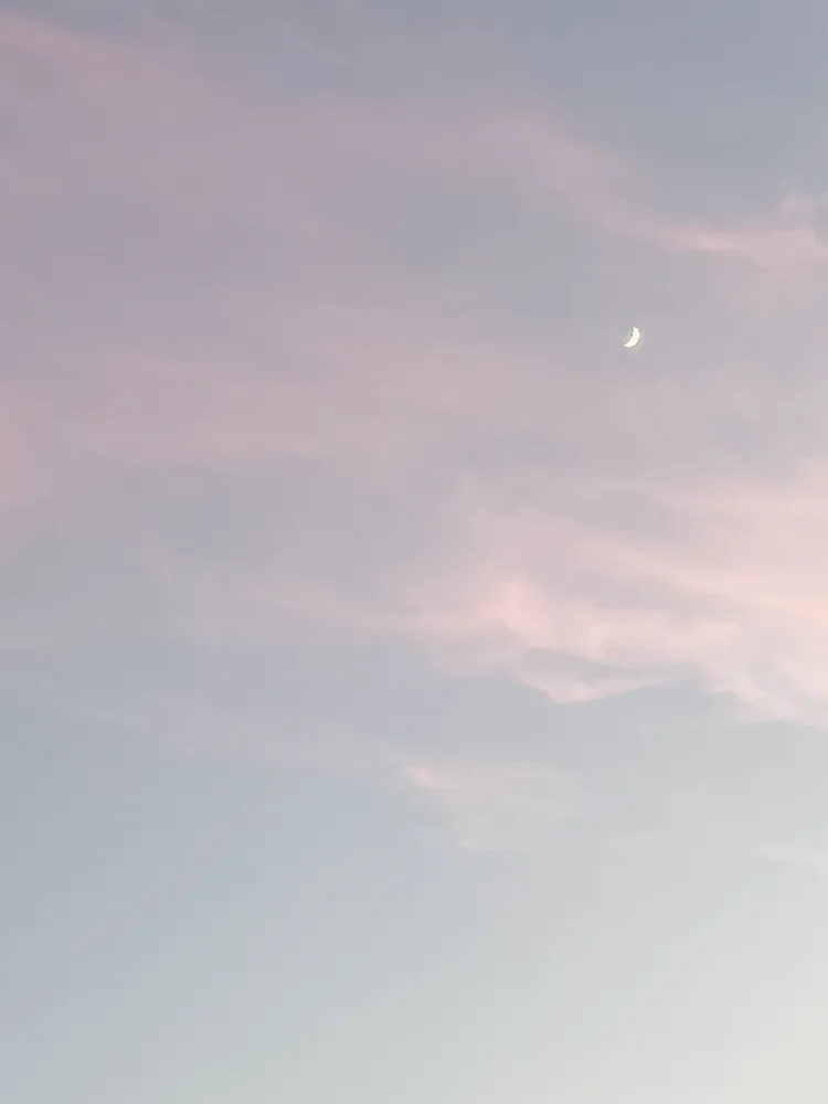 하루네일 대표 이미지