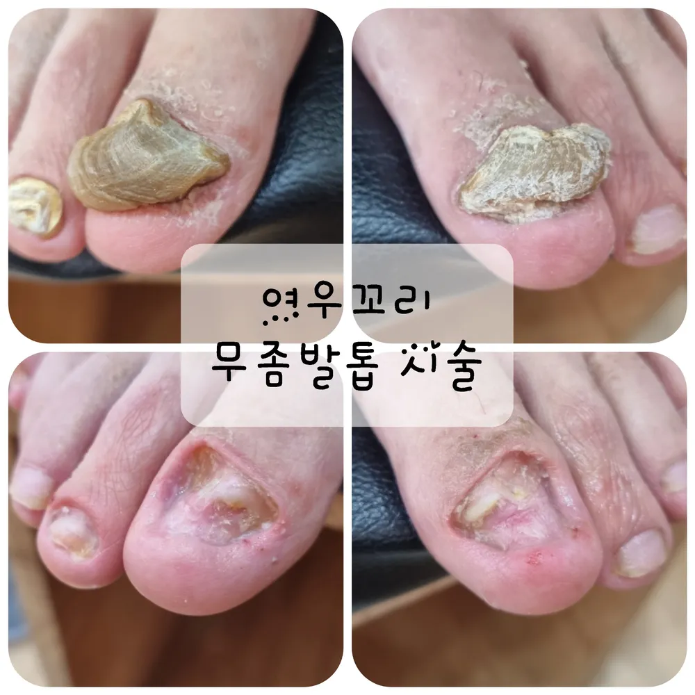 여우꼬리네일샵 대표 이미지