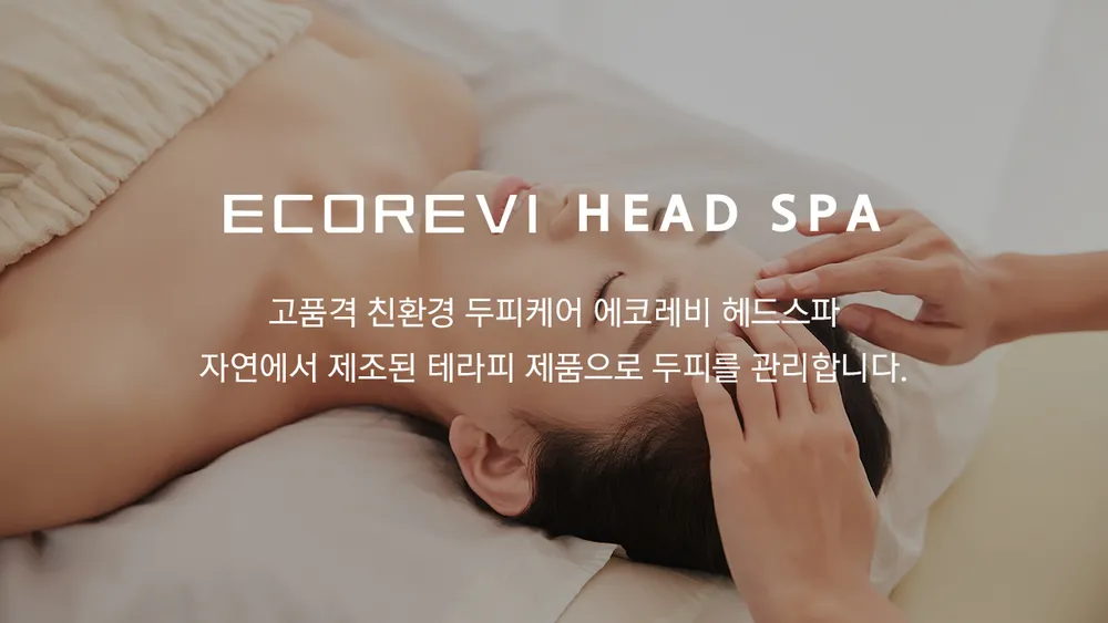 에코레비에스테틱 대표 이미지