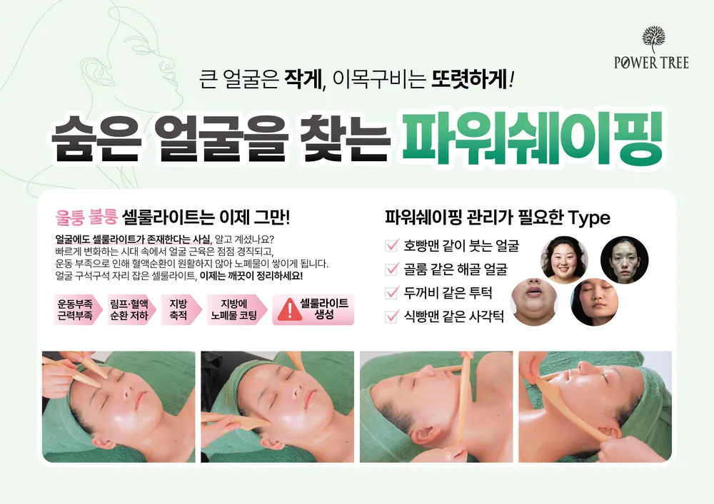 링고에스테틱 대표 이미지
