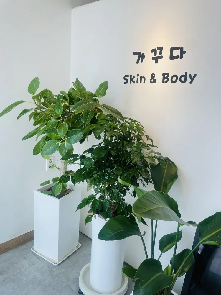 가꾸다 대표 이미지