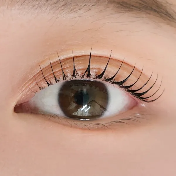 엘로디뷰티 대표 이미지