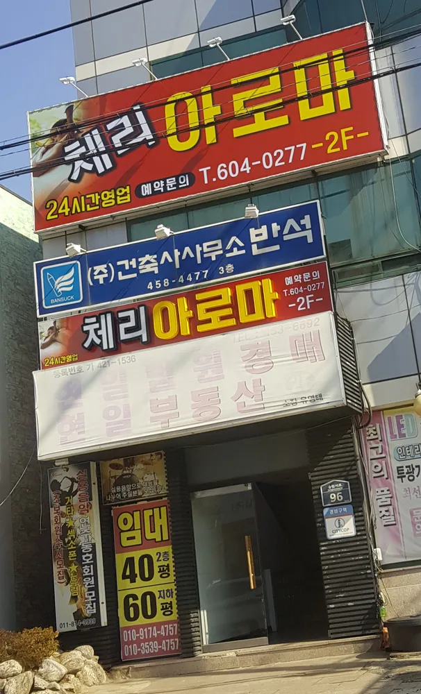 체리아로마 대표 이미지