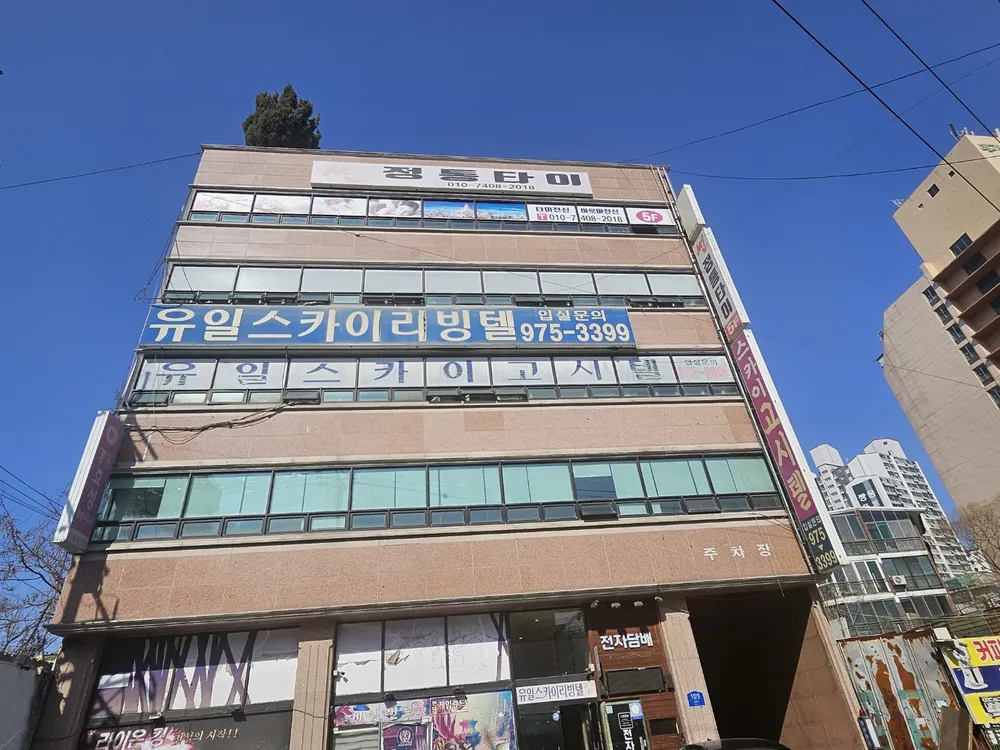 썬 대표 이미지