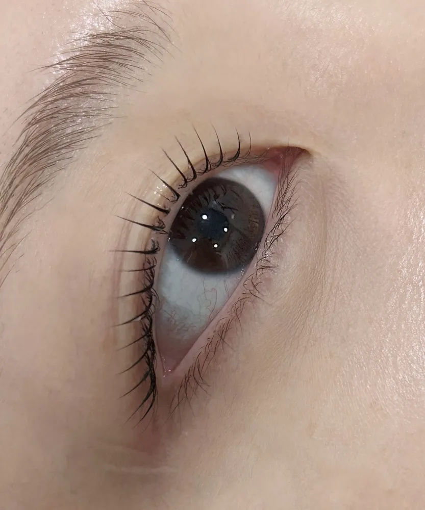디픽트 대표 이미지