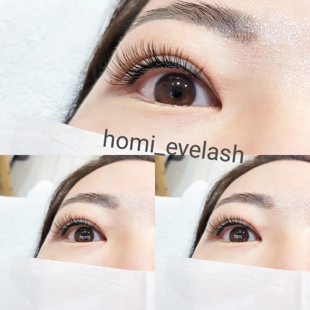 호미속눈썹 대표 이미지