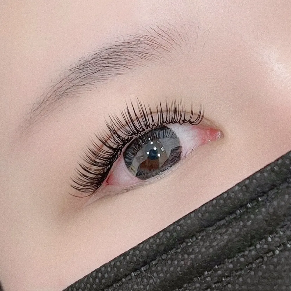 이너크래쉬앤브로우 대표 이미지