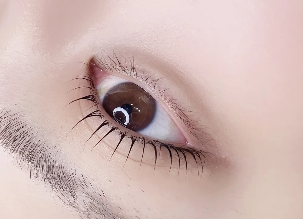 워니브로우 대표 이미지