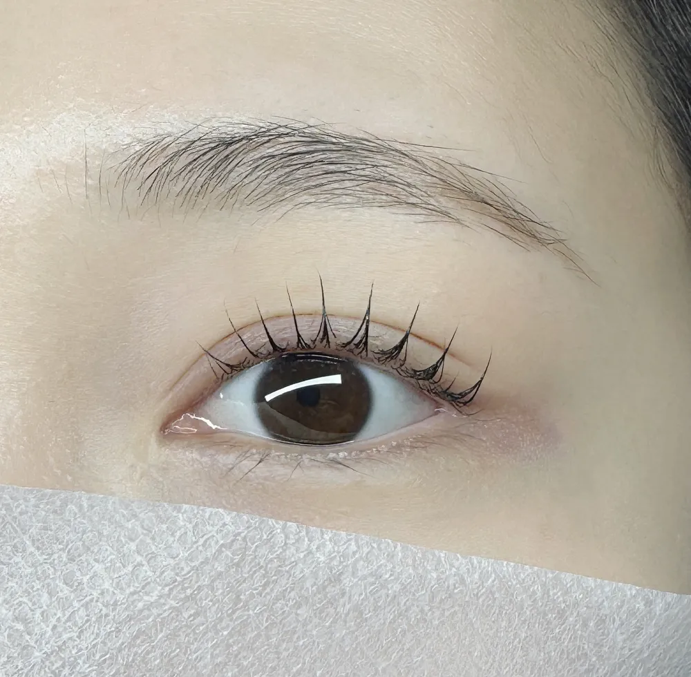 리솜브로우 대표 이미지