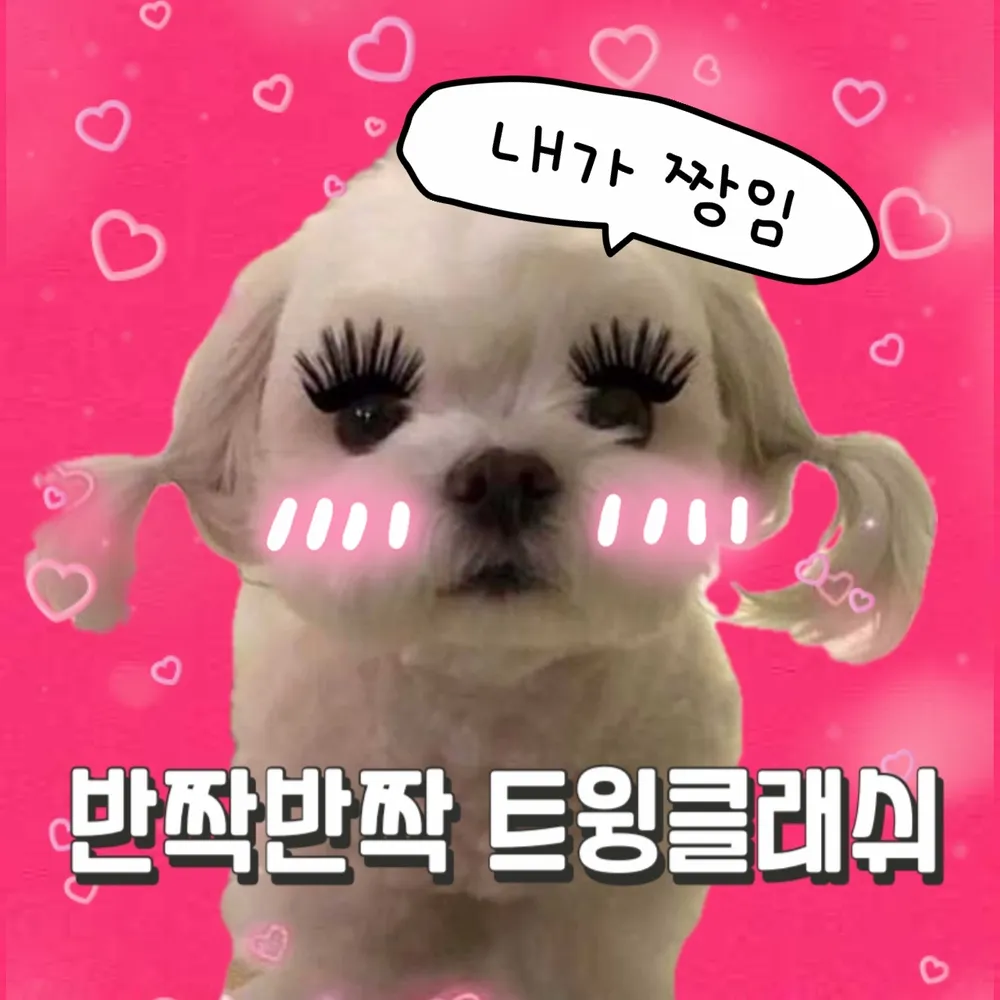 트윙클래쉬 대표 이미지