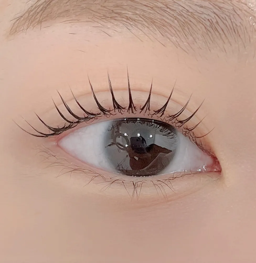브로우뮤트 대표 이미지