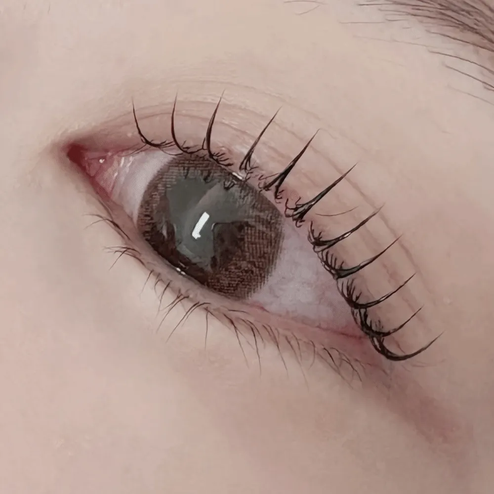 엘렌브로우 대표 이미지