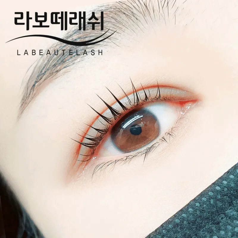 라보떼래쉬 대표 이미지