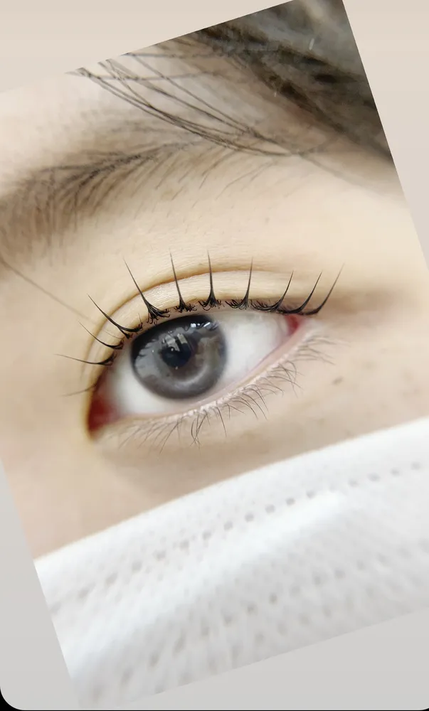 바비브로우 대표 이미지