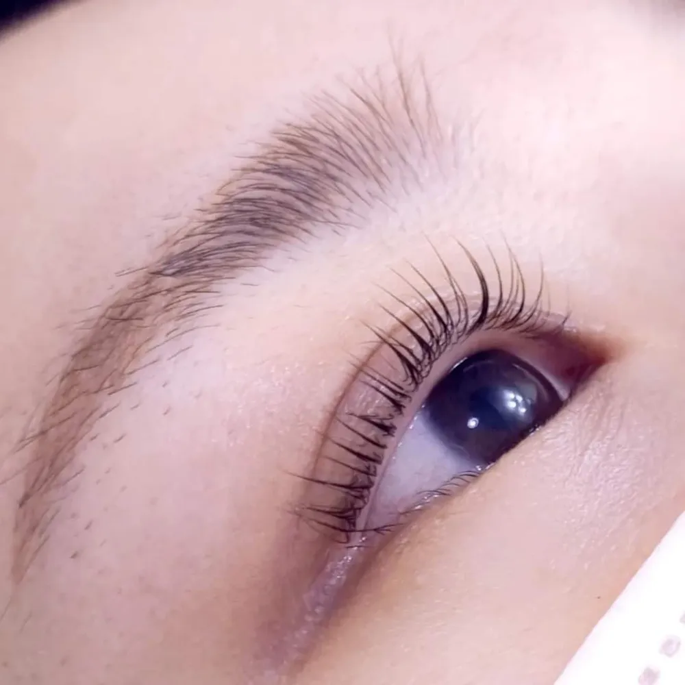 오블리 속눈썹 대표 이미지