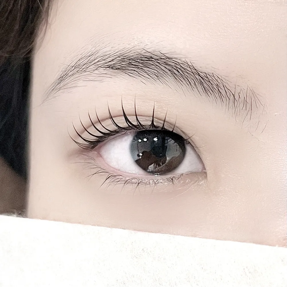 더데이래쉬 대표 이미지