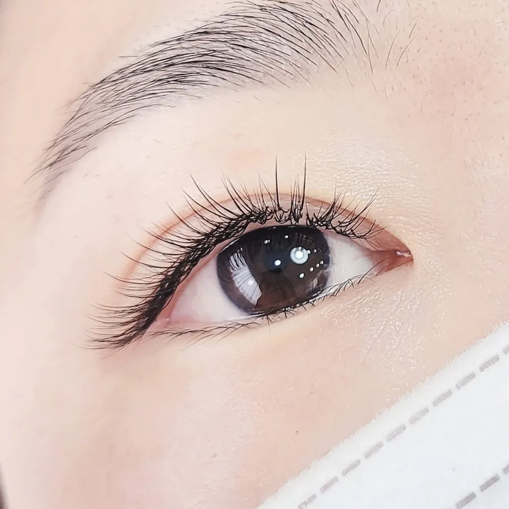 아이비뷰티래쉬 대표 이미지