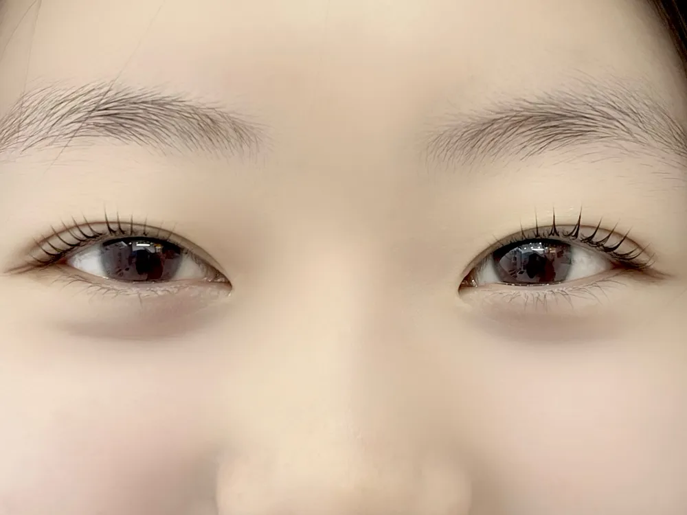 엘뷰티래쉬 대표 이미지