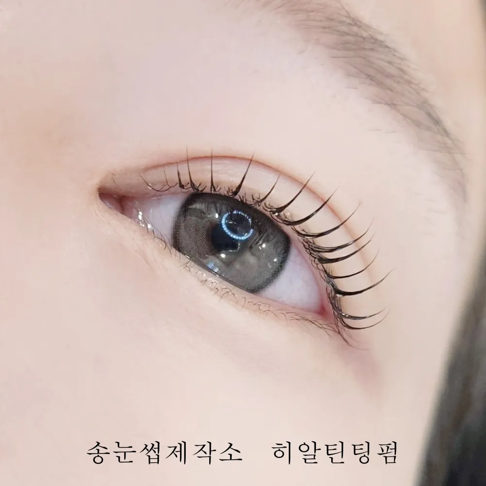 송눈썹제작소 대표 이미지