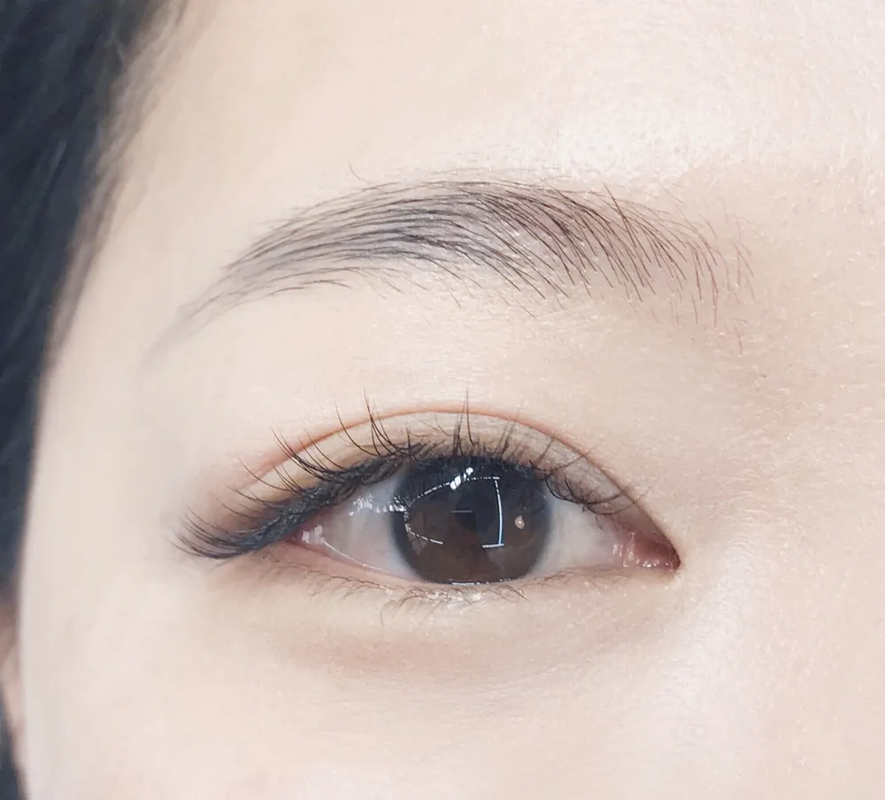 꼼마래쉬 대표 이미지
