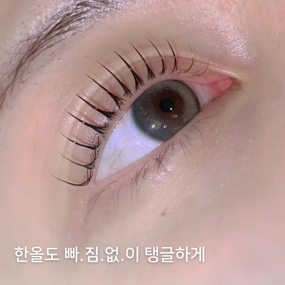 라벨르브로우 대표 이미지