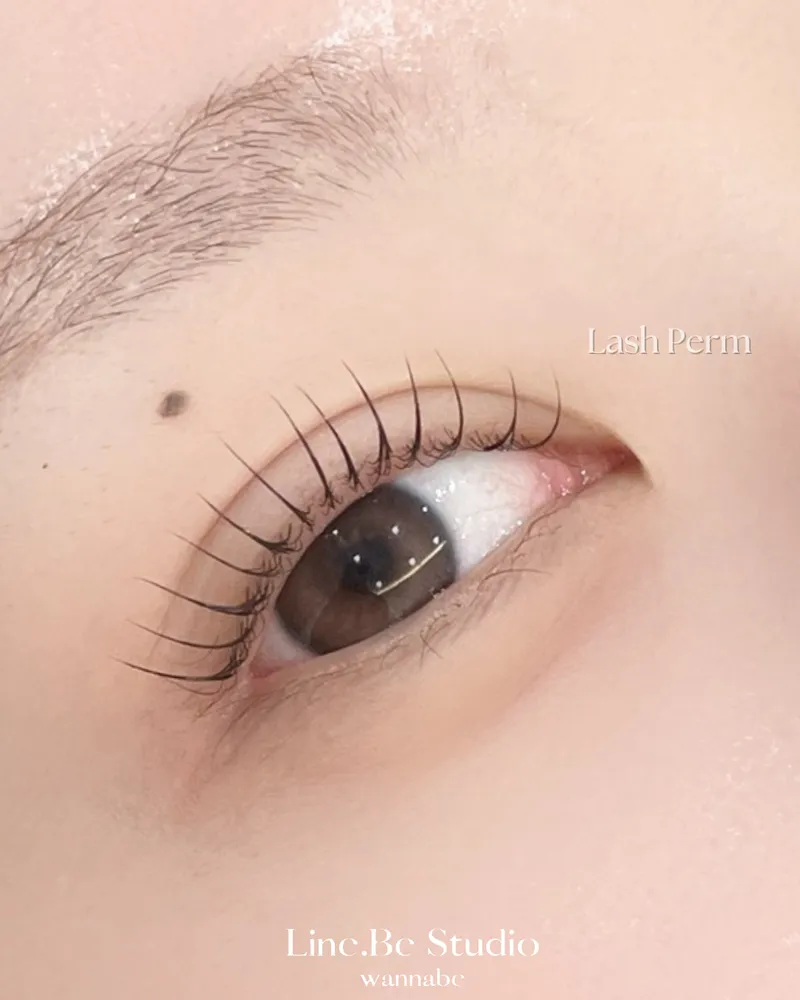라인비스튜디오 대표 이미지
