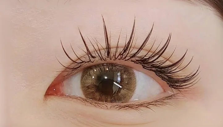 앨리스21 대표 이미지