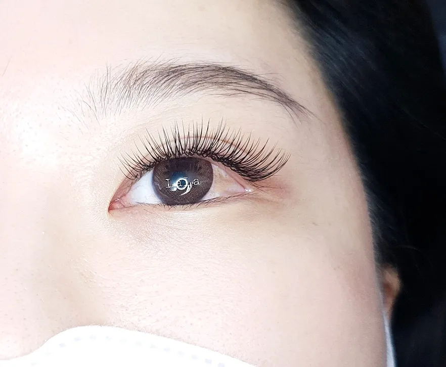 라라속눈썹 대표 이미지