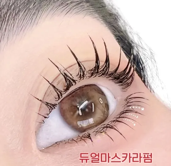 눈썹콩 대표 이미지
