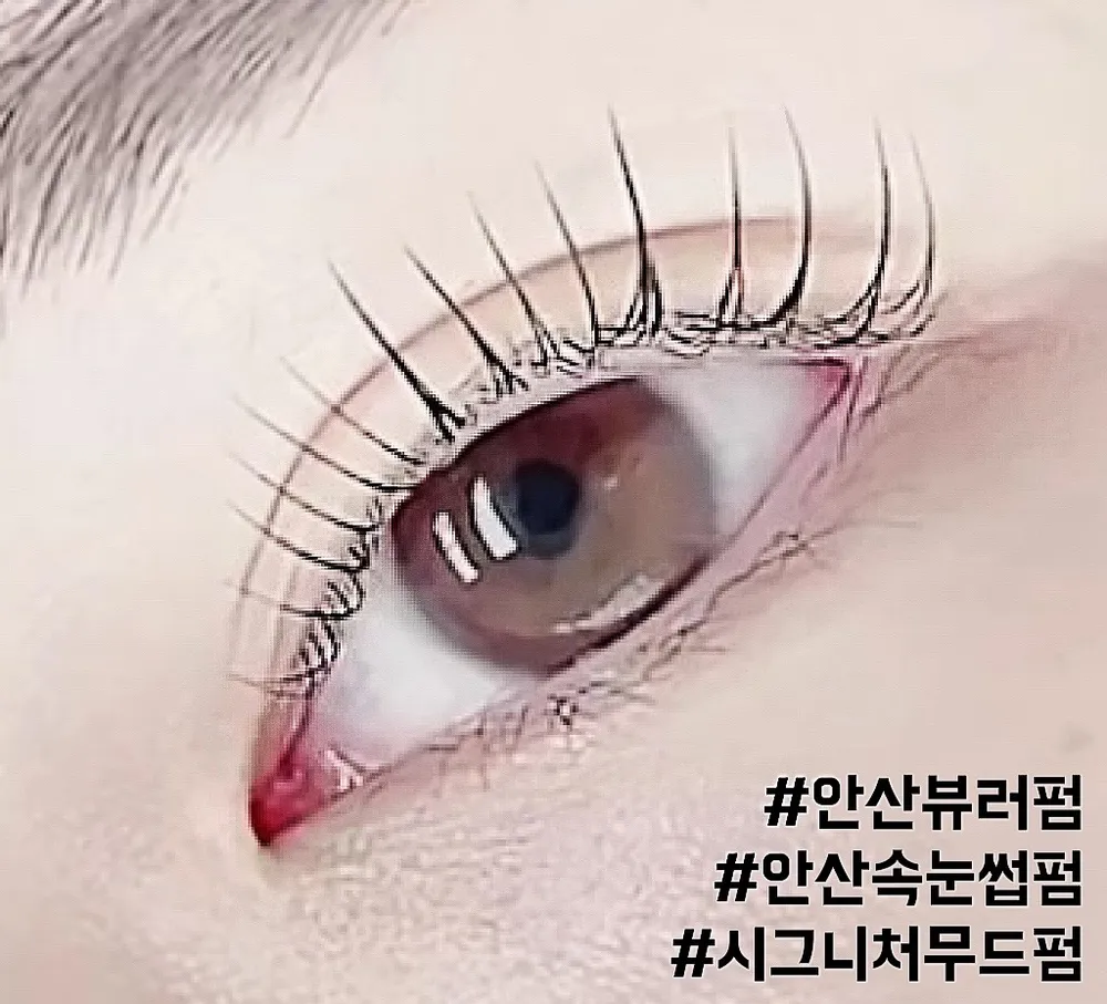 더무드라인 대표 이미지