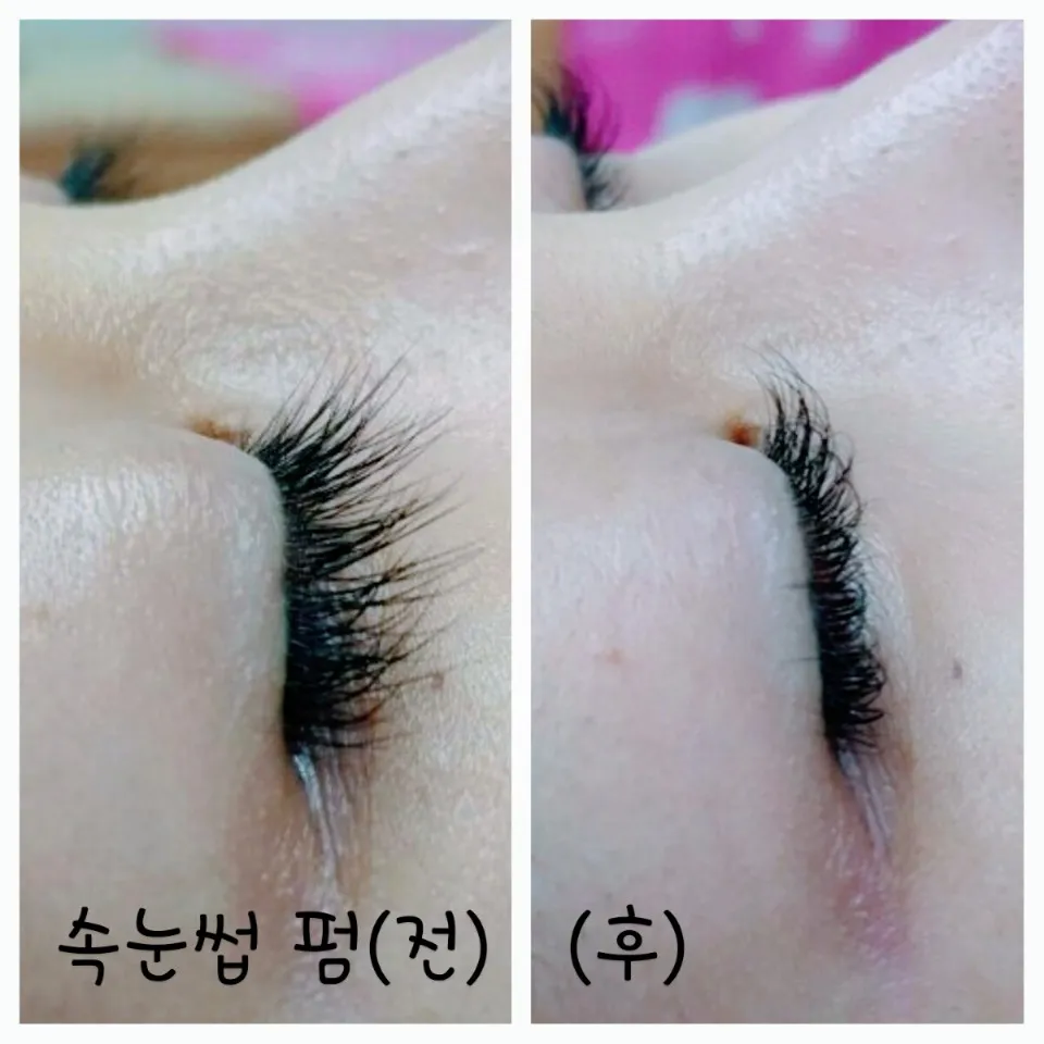 여우꼬리 대표 이미지