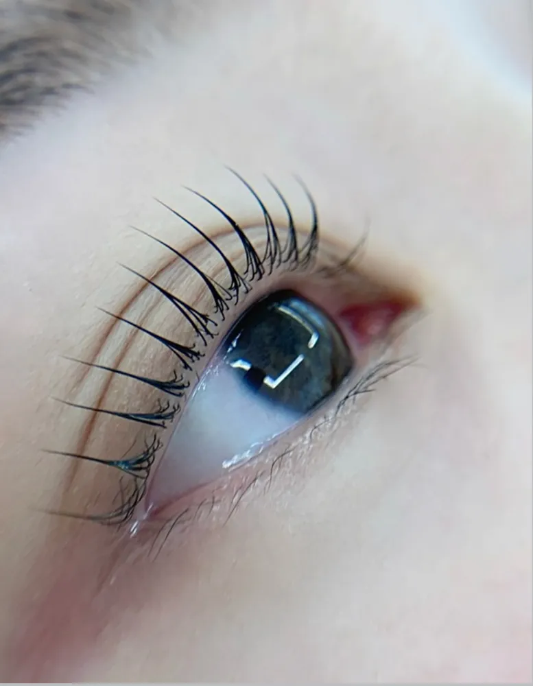 태브로우 대표 이미지