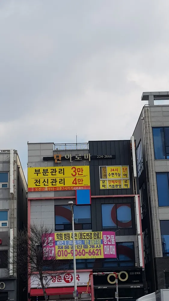 단아로마 대표 이미지
