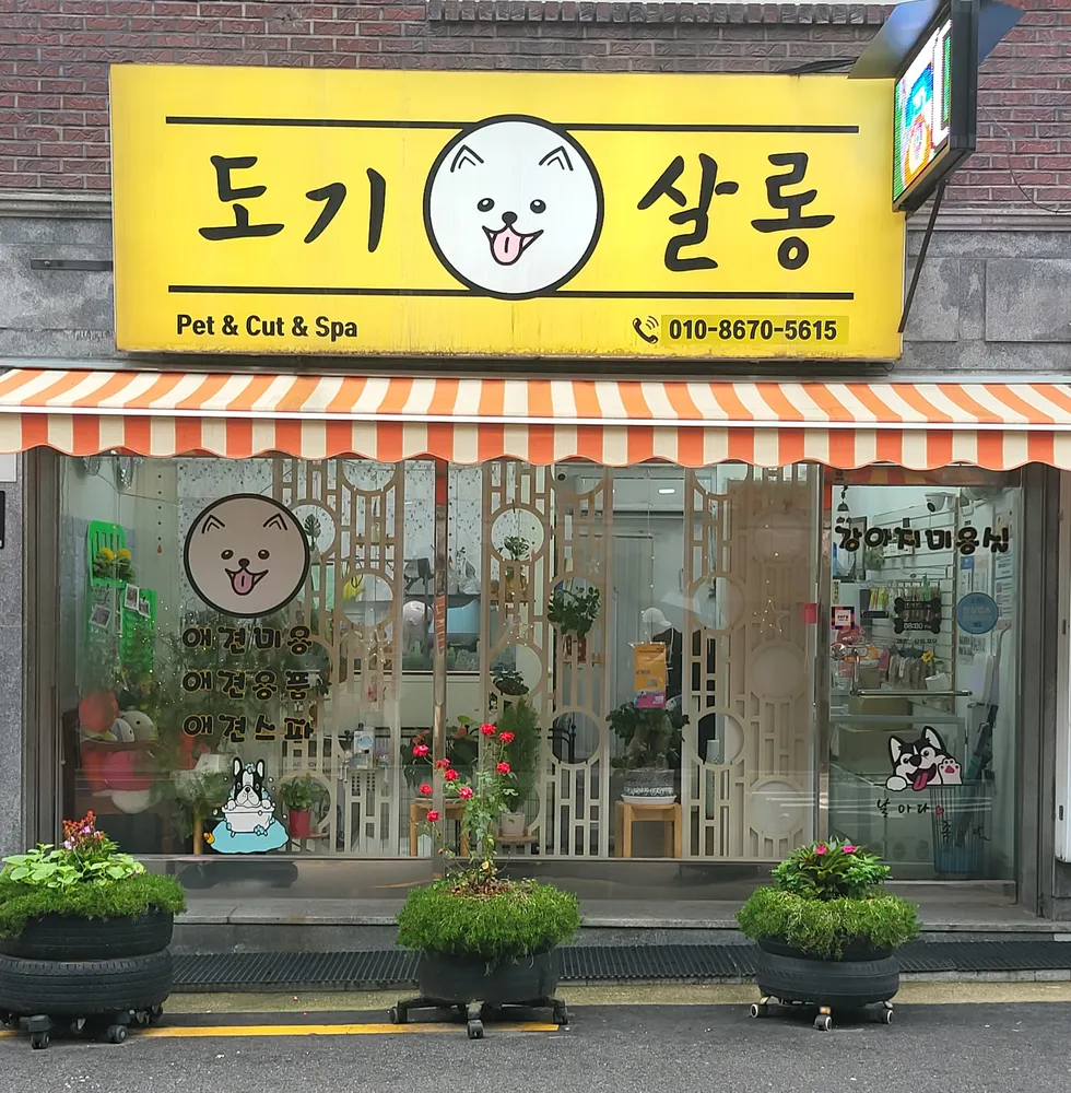 도기살롱 대표 이미지