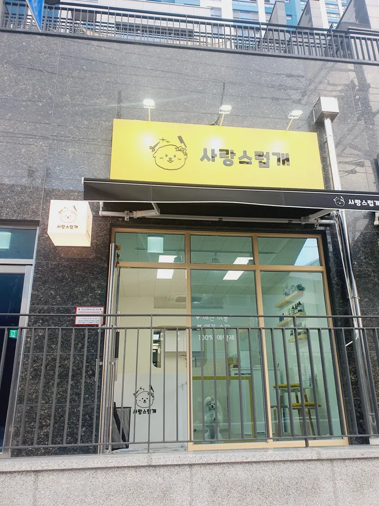 사랑스럽개 반려동물미용 대표 이미지