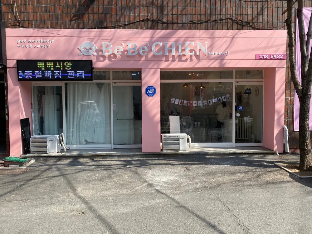 베베시앙 애견미용 대표 이미지