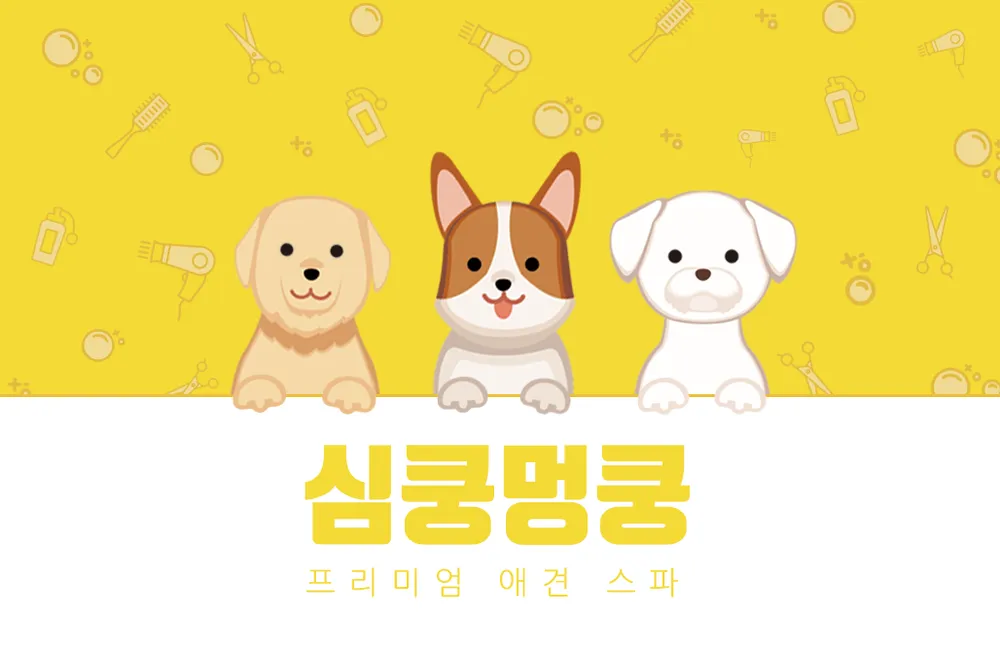 심쿵멍쿵 대표 이미지