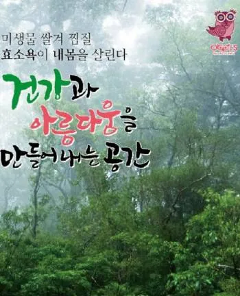 아울스 효소 스파 대표 이미지