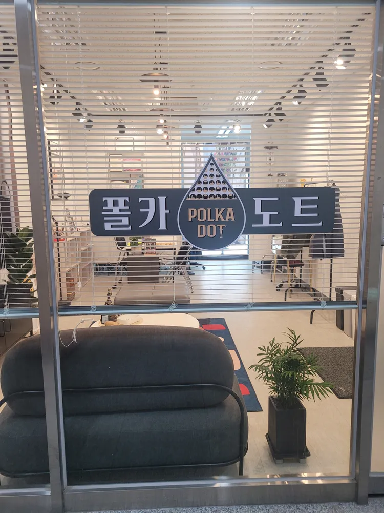 폴카도트 대표 이미지