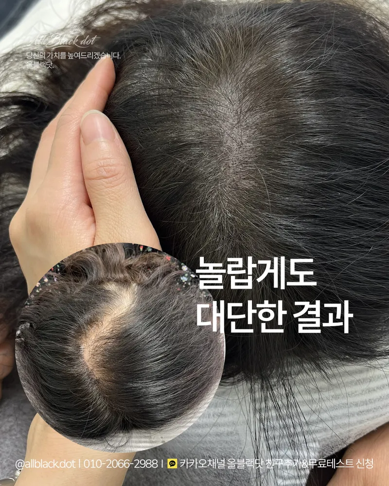 올블랙닷 대표 이미지