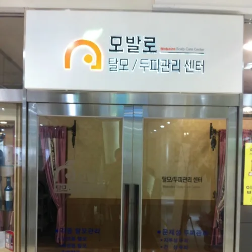 모발로 이대본점 대표 이미지