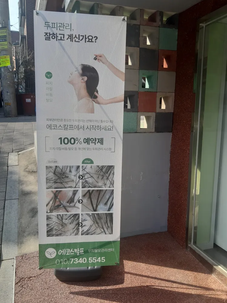 에코스칼프 대표 이미지