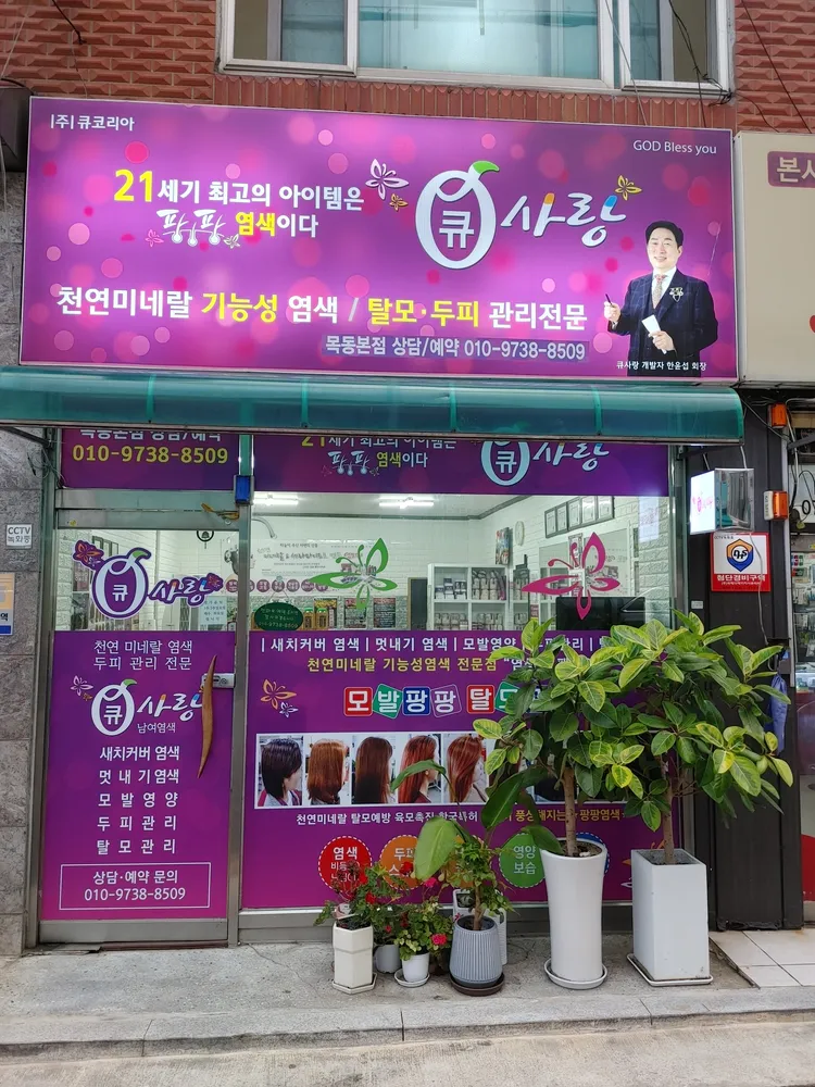 큐사랑 목동점 대표 이미지