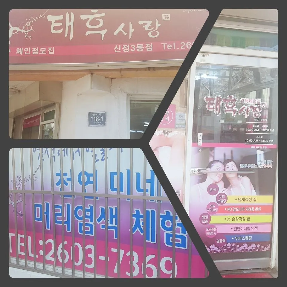 태후사랑 신정3동점 대표 이미지