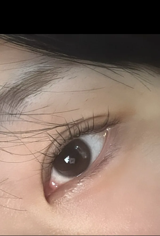 수속눈썹 대표 이미지