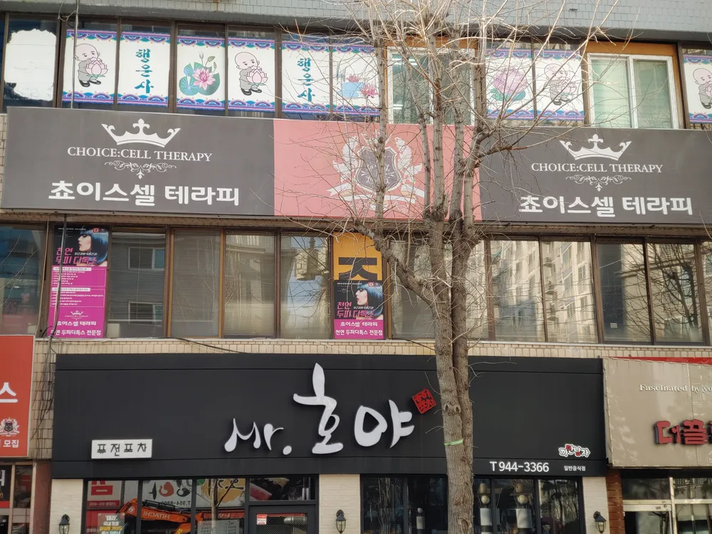 쵸이스셀테라피 대표 이미지