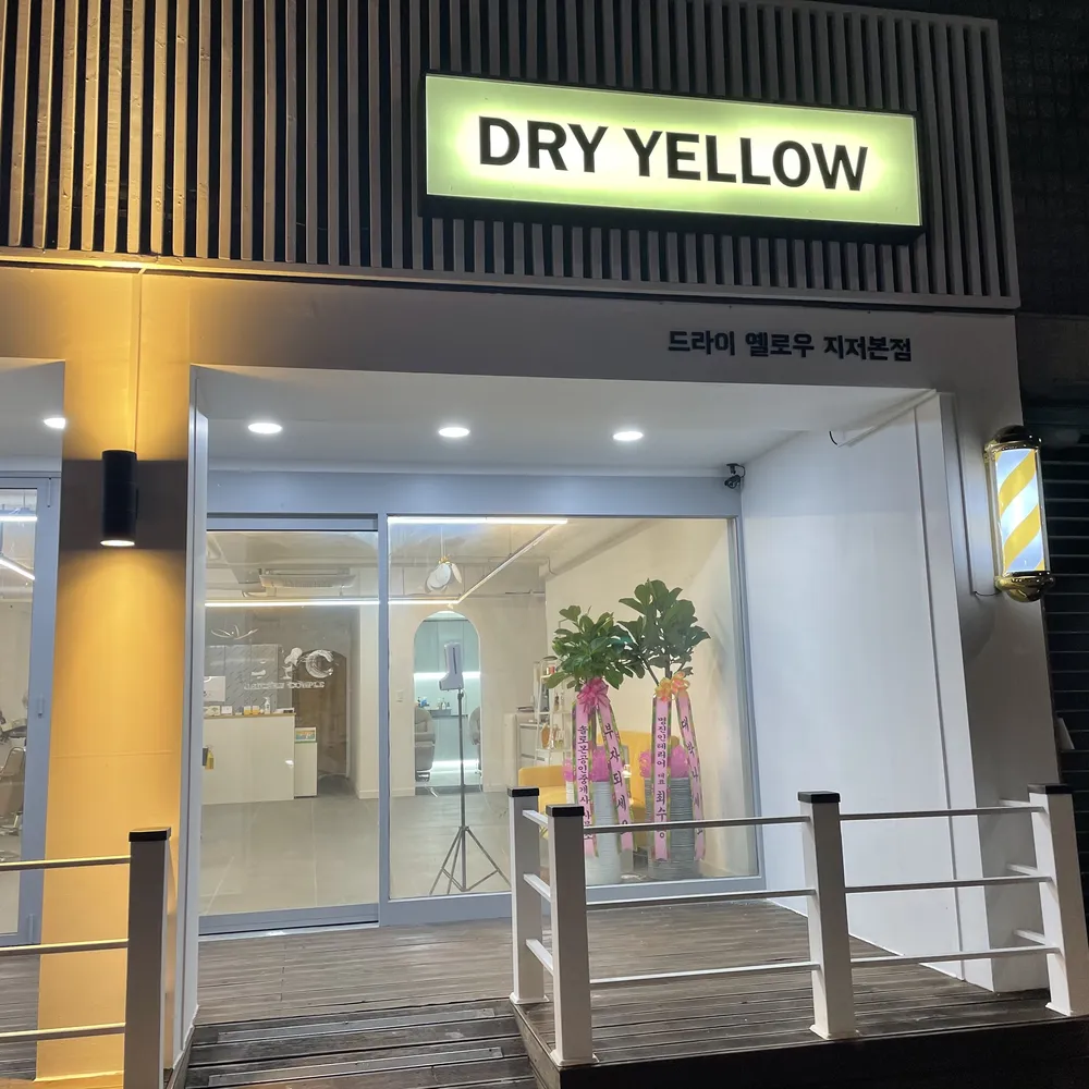드라이 옐로우 대표 이미지