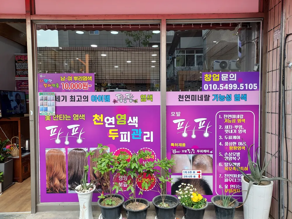 큐사랑염색방 신평리점 대표 이미지